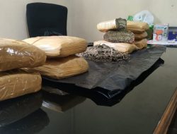 Satresnarkoba Polres Bukittinggi Sita 9 Kilogram Ganja