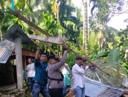 Satu Rumah  di Padang Pariaman Tumbang Akibat Cuaca Ekstrem