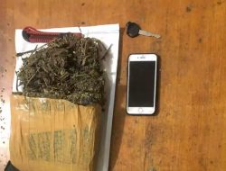 Satnarkorba Polres Bukittinggi Sita Satu Paket Besar Ganja