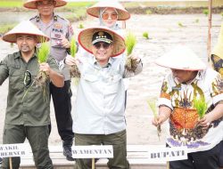 Perkuat Produksi dan Hilirisasi Pertanian Sumbar, Wamentan Serahkan Bantuan di Padang Pariaman