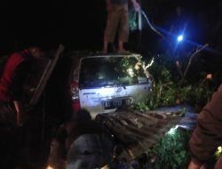 Mobil Warga Ditimpa Pohon Tumbang Saat Cuaca Ekstrem di Agam