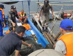 Menilik Upaya Pemerintah Menyelamatkan Ikan Endemik Danau Singkarak
